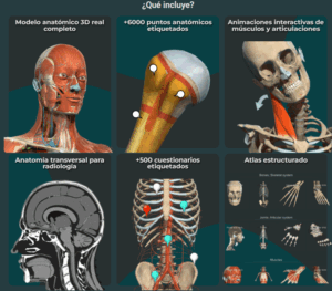 Anatomy Learning | BiBLOGteca de la Salud